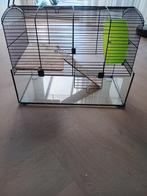 Hamsterkooi met toebehoren., Dieren en Toebehoren, Kooi, Gebruikt, Minder dan 75 cm, Hamster