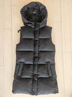 Nieuw:Bodywarmer kind, zwart, maat 152, lang model van Mango, Kinderen en Baby's, Kinderkleding | Maat 152, Ophalen of Verzenden