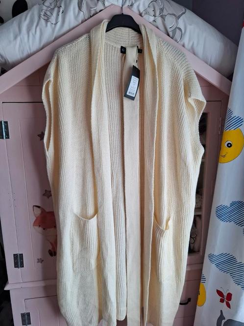 chrissize mouwloos vest maat 2, Kleding | Dames, Grote Maten, Nieuw, Trui of Vest, Ophalen of Verzenden