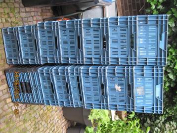 blauwe stapelkratten diverse in 1 koop (347) beschikbaar voor biedingen