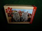 NIEUW Castorland puzzel 2 grijze Poezen 54 stukjes, Ophalen of Verzenden, Meer dan 50 stukjes, Nieuw, 4 tot 6 jaar