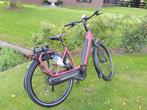 Gazelle Avignon Framemaat 53 cm 400 WH accu, Wilhelminaweg 8
6951 bp  Dieren, NL, Gazelle, Info@gazelle.nl, Zo goed als nieuw