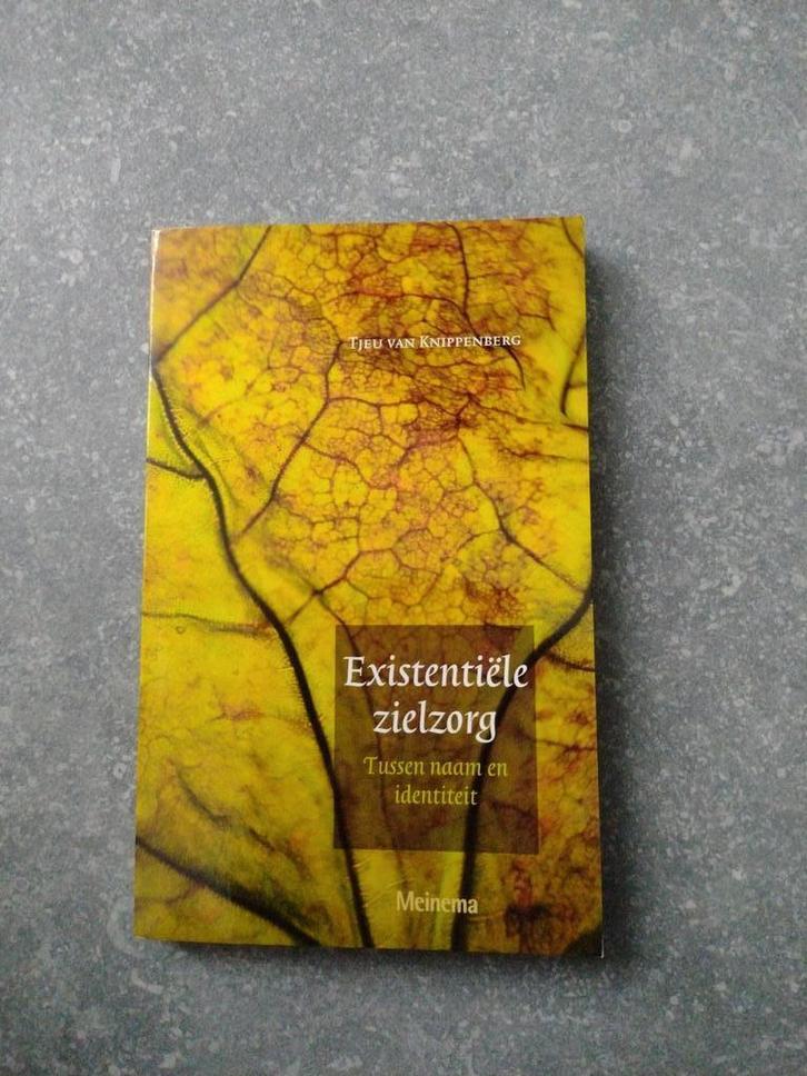 Tj. van Knippenberg - Existentiële zielzorg, Boeken, Godsdienst en Theologie, Zo goed als nieuw, Ophalen