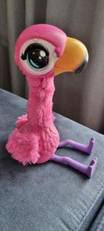Gotta go flamingo, Ophalen, Gebruikt, Jongen of Meisje