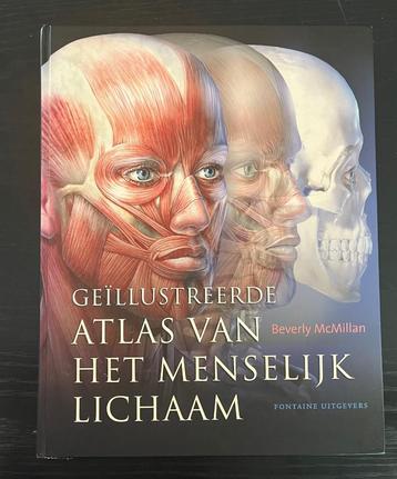 Geïllustreerde Atlas van het Menselijk Lichaam Te Koop beschikbaar voor biedingen
