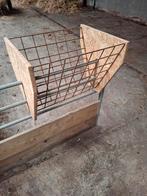 Ruifjes/schapen, Dieren en Toebehoren, Schapen, Geiten en Varkens