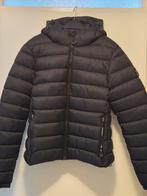 Superdry winterjas, Kleding | Dames, Jassen | Winter, Ophalen, Maat 42/44 (L), Nieuw, Superdry