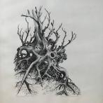 Litho van "Dode stronk"- Julia van Verschuer 1970, Ophalen