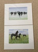 Wiebe van der Zee aquarel koeien & paarden, Antiek en Kunst, Kunst | Tekeningen en Foto's, Ophalen of Verzenden