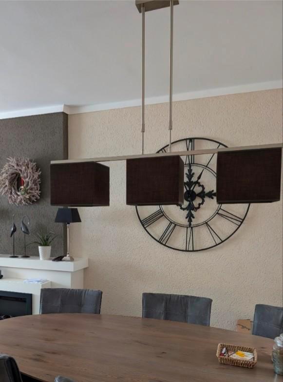 Rvs verstelbare hanglamp, Huis en Inrichting, Lampen | Hanglampen, Zo goed als nieuw, Minder dan 50 cm, Ophalen