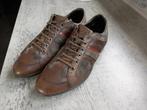 GEOX, Kleding | Heren, Schoenen, Bruin, Nieuw, Ophalen of Verzenden, Veterschoenen