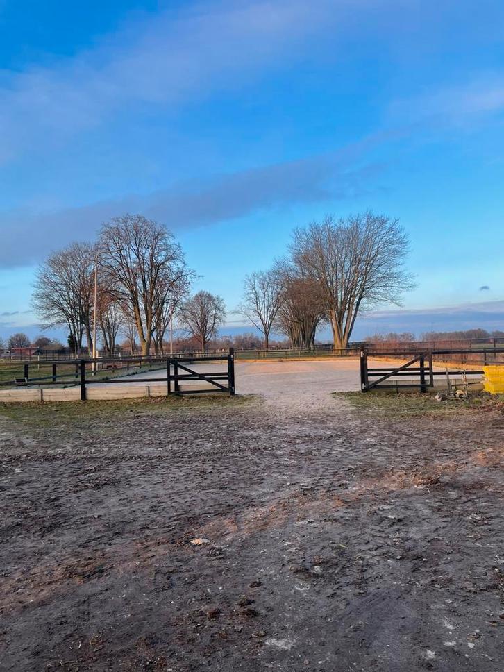 Stalling aan huis, Dieren en Toebehoren, Stalling en Weidegang, Stalling