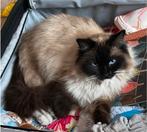 VERMIST ONZE LIEVE LOTJE (omgeving Enkhuizen), Poes