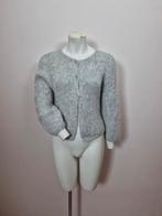 Inti baby alpaca vest maat L, Kleding | Dames, Truien en Vesten, Maat 42/44 (L), Ophalen of Verzenden, Zo goed als nieuw, Inti