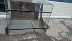 Terrarium gratis, Ophalen, Gebruikt, Terrarium of Paludarium