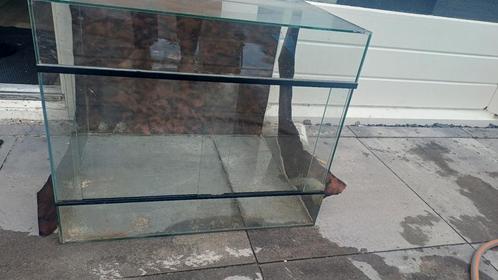 Terrarium gratis, Dieren en Toebehoren, Reptielen en Amfibieën | Toebehoren, Gebruikt, Terrarium of Paludarium, Ophalen