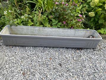 Langwerpige plantenbak beschikbaar voor biedingen