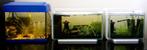 SuperFish Aqua 20 Junior Aquarium (donkerblauw), Ophalen, Gebruikt, Leeg aquarium