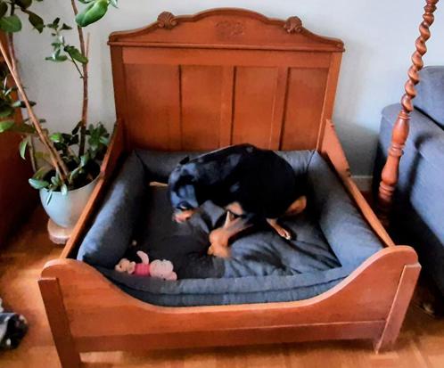Uniek klassiek hondenbed.120cm bij 90cm  Voor grote hond., Dieren en Toebehoren, Hondenmanden, Zo goed als nieuw, Overige, Ophalen