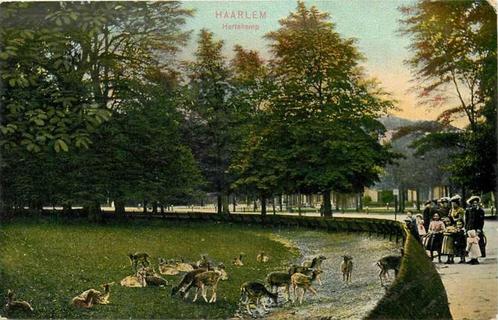 (377-208-035) Haarlem Hertekamp, Verzamelen, Ansichtkaarten | Nederland, Noord-Holland, Verzenden