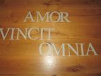 15 houten letters, AMOR VINCIT OMNIA of een andere tekst, Ophalen of Verzenden, Zo goed als nieuw, Overige typen