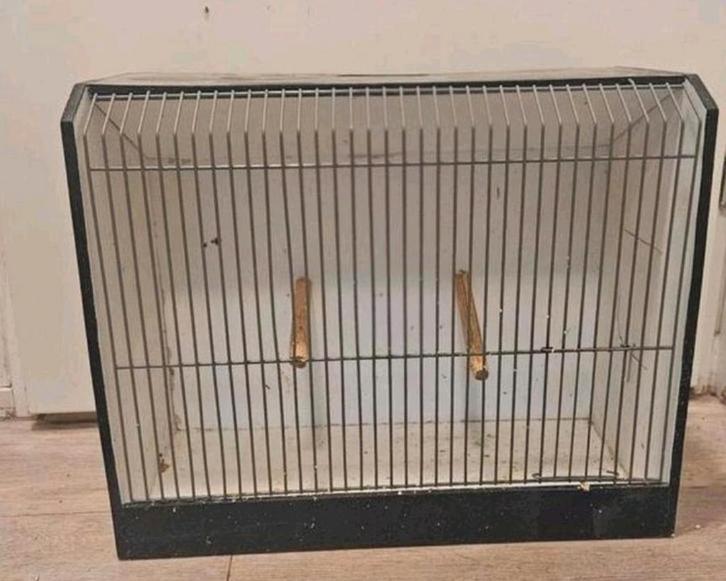 Grote tentoonstelling kooi, Dieren en Toebehoren, Vogels | Hokken en Kooien, Gebruikt, Vogelkooi, Metaal, Ophalen