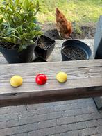 Halve biljartballen iets aparts !!!!!!!!, Sport en Fitness, Biljarten en Poolen, Ophalen of Verzenden, Keu of Ballen