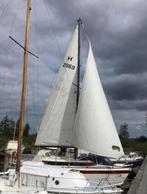 GEZOCHT: Rolfok/-genua + grootzeil Friendship 28, Watersport en Boten, Ophalen of Verzenden, Gebruikt, 6 meter of meer, Grootzeil