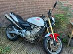 Honda CB600F Hornet, Motoren, Motoren | Honda, 4 cilinders, Motorrijbewijs A, Particulier, Meer dan 35 kW