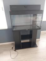Juwel Aquarium Rio 125 LED met kast en toebehoren, Ophalen, Gebruikt, Leeg aquarium