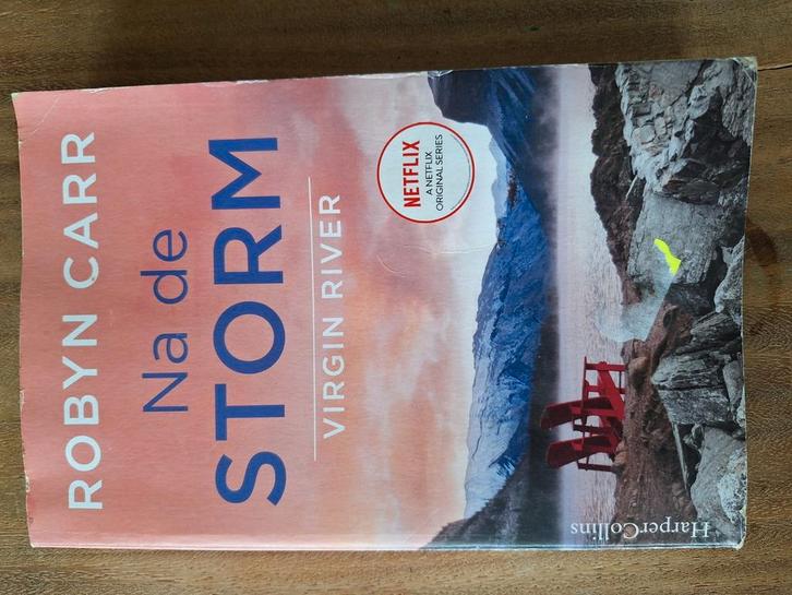Robyn Carr - Na de storm (Special), Boeken, Romans, Gelezen, Ophalen of Verzenden