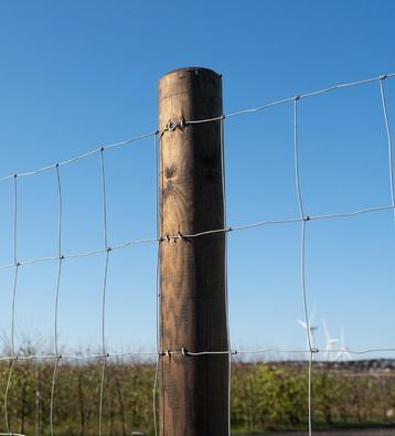 Weidepalen, Houten palen, Paal, Omheining, Afrastering beschikbaar voor biedingen