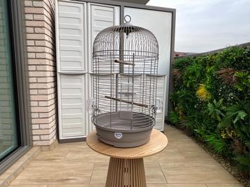 Prachtige vogelkooi voor kleine vogels beschikbaar voor biedingen