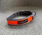 Hondenhalsband Non Stop Dogwear NIEUW, Dieren en Toebehoren, Ophalen of Verzenden, Nieuw