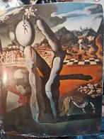 Dali Expositie Catalogus Boymans-Beuningen 1970, Ophalen of Verzenden