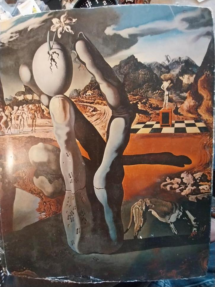 Dali Expositie Catalogus Boymans-Beuningen 1970, Antiek en Kunst, Kunst | Overige Kunst, Ophalen of Verzenden