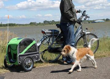 Dobbyride fietskar mini groen/grijs beschikbaar voor biedingen