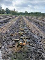 Openhaardhout, Tuin en Terras, Haardhout, 6 m³ of meer, Ophalen, Overige houtsoorten, Blokken