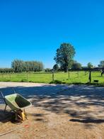 Paardenstalling Benschop, Dieren en Toebehoren, Stalling en Weidegang, Weidegang