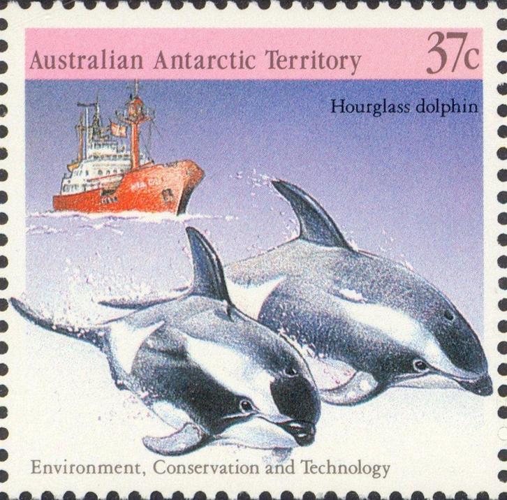 AUSTRALISCH ANTARCTICA 8 - Dieren: zoogdieren (dolfijn), Postzegels en Munten, Postzegels | Thematische zegels, Postfris, Dier of Natuur