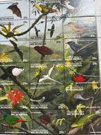 Vogels, Micronesia 1991, Ophalen of Verzenden, Dier of Natuur