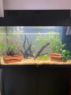 Juwel aquarium Rio 125 + meubel zwart, Ophalen, Zo goed als nieuw, Leeg aquarium