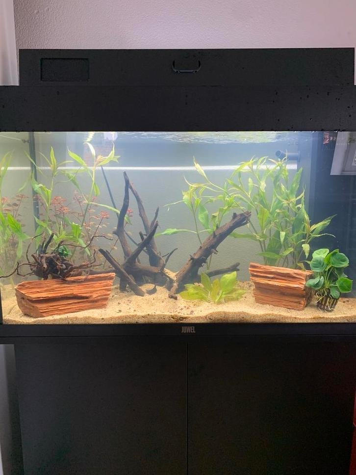 Juwel aquarium Rio 125 + meubel zwart, Dieren en Toebehoren, Vissen | Aquaria en Toebehoren, Zo goed als nieuw, Leeg aquarium