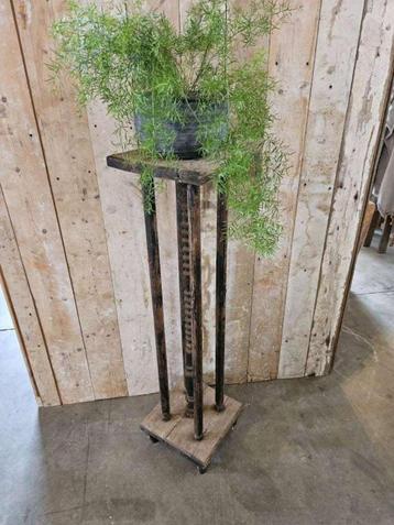 oude plantentafel `WOONWINKEL RUSTIEK`` beschikbaar voor biedingen