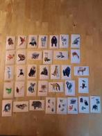 Tom & Co - Delhaize Plaatjes - zie lijst, Ophalen of Verzenden