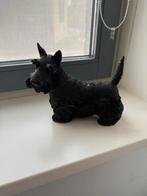 Westhy terrier, Ophalen, Zo goed als nieuw