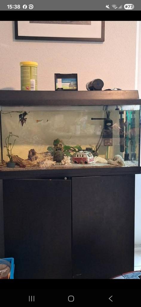 JEWEL AQUARIUM, Dieren en Toebehoren, Vissen | Aquaria en Toebehoren, Ophalen