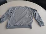 T-Shirt Deham XL, Ophalen of Verzenden, Grijs, Denham, Maat 56/58 (XL)