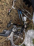 Fiets batavus, Ophalen, 20 inch of meer, Versnellingen, Batavus