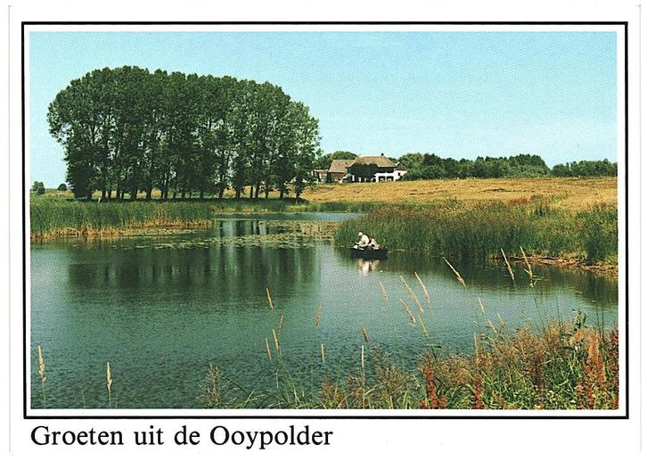 908762 Ooy Gld Ooypolder Niet Gelopen , Verzamelen, Ansichtkaarten | Nederland, Ongelopen, Gelderland, Ophalen of Verzenden